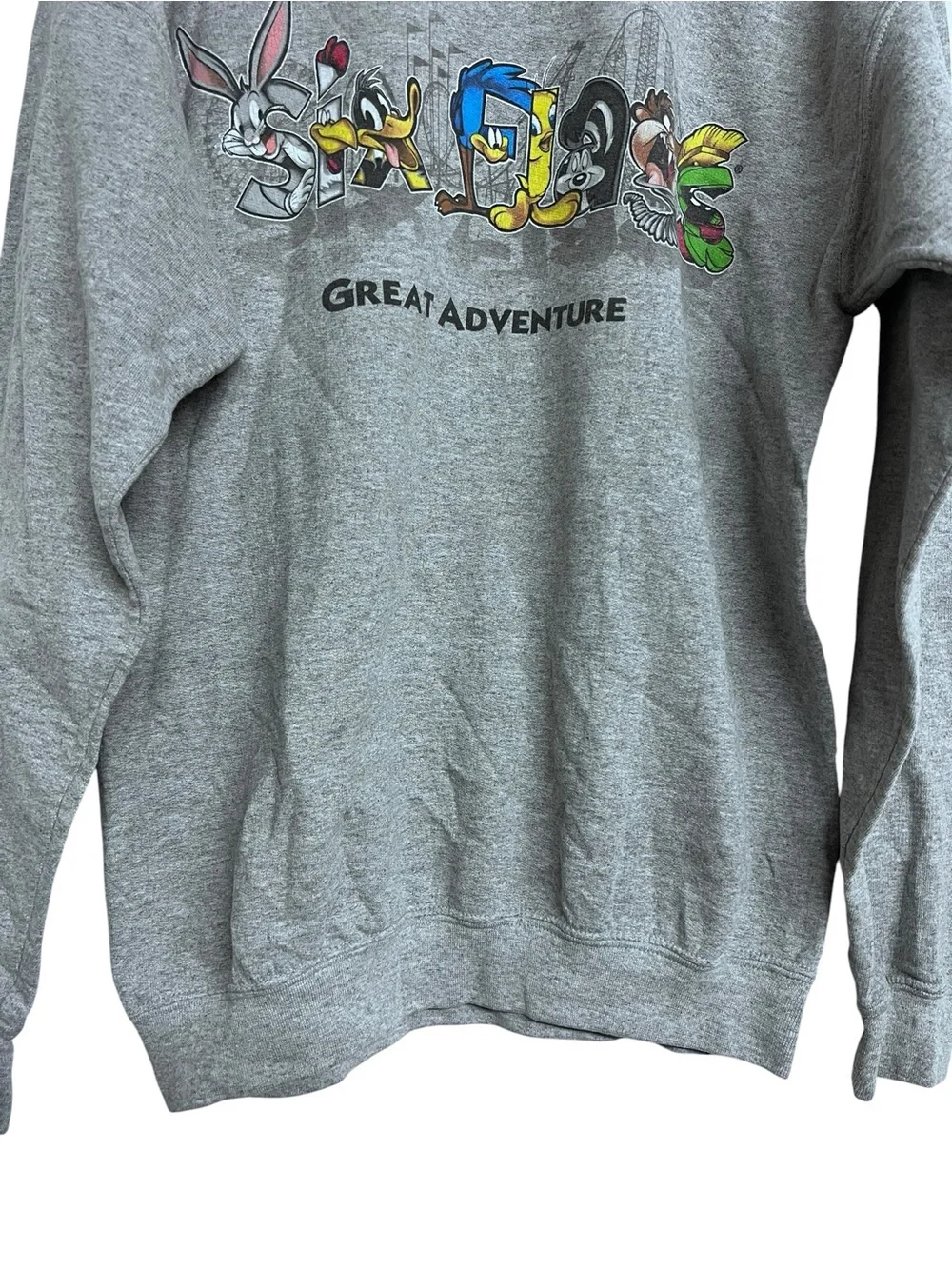 Vintage Youth Sixflags Great Adventure Grey Looney Tunes Crewneck Sweatshirt